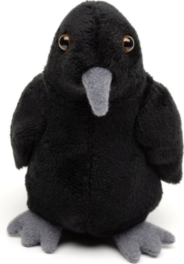 Miękki i delikatny towarzysz