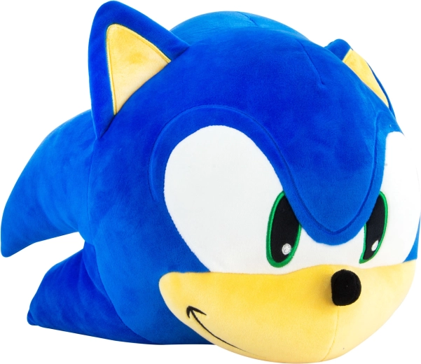 Ikoniczny wygląd SONIC