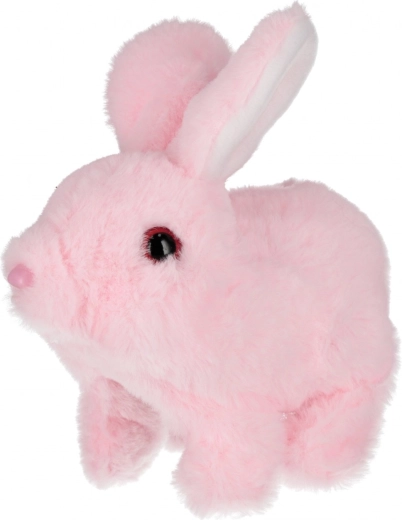 Mięciutki plusz zachęcający do przytulania