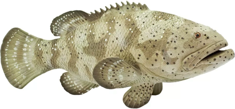 Safari Ltd. kanic itajara figurka - 1 szt.