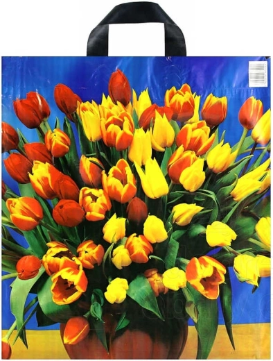 Zadrukowana plastikowa torba zakupowa z uchem taśmowym 43 × 48 cm – 1 szt.