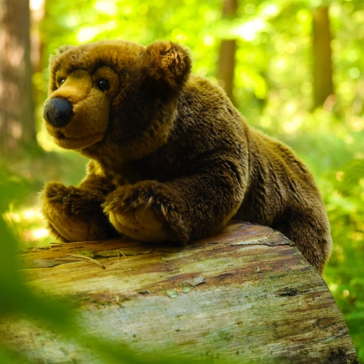 Wypełnienie ECO-FRIENDLY