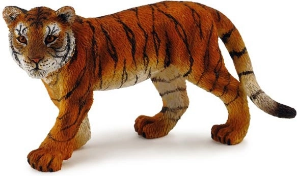 Collecta młode tygrysie stojące