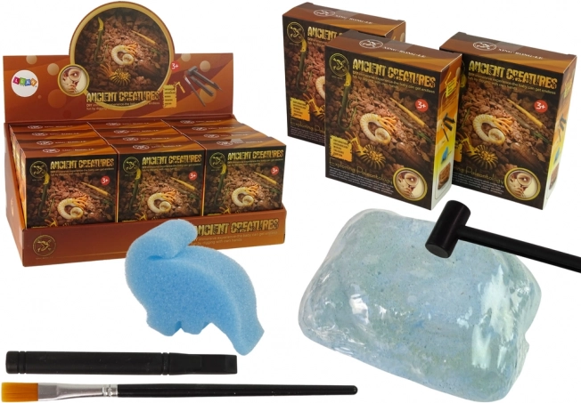 Wykopaliska starożytnych stworzeń – niespodzianka: amonit