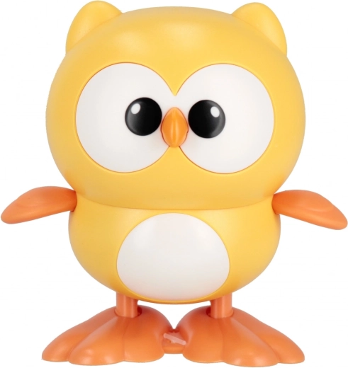 Sześć wariantów kolorystycznych