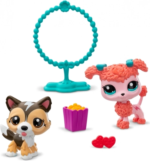 Skaczące triki i cyrkowe show