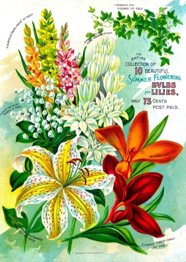 Enjoy puzzle Vintage katalog kwiatowy 1000 elementów