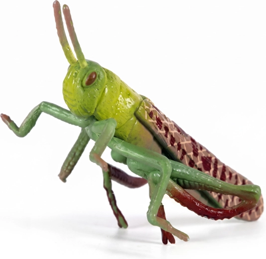 Plastowa szarańcza 7 cm