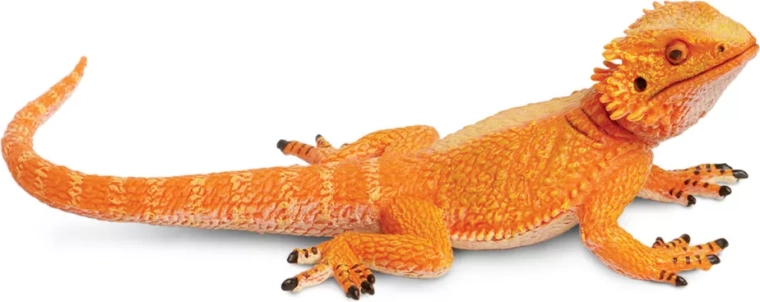 Figurka agamy brodatej Safari Ltd.
