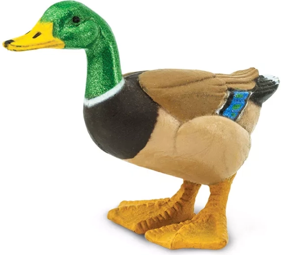 Kaczka krzyżówka (figurka) Safari Ltd. - 1 szt.