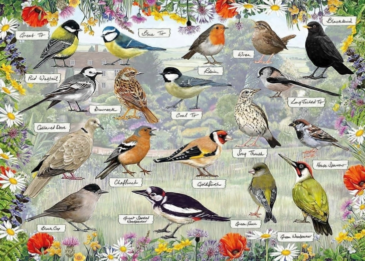 Gibsons puzzle RSPB: Szczęśliwe ptaki 1000 elementów