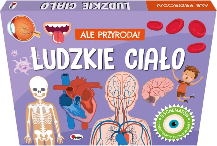 Ale przyroda! Ludzkie ciało – książka przestrzenna z okienkami