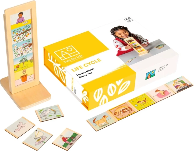 Toys for Life cykle życia – zestaw edukacyjny z kartami