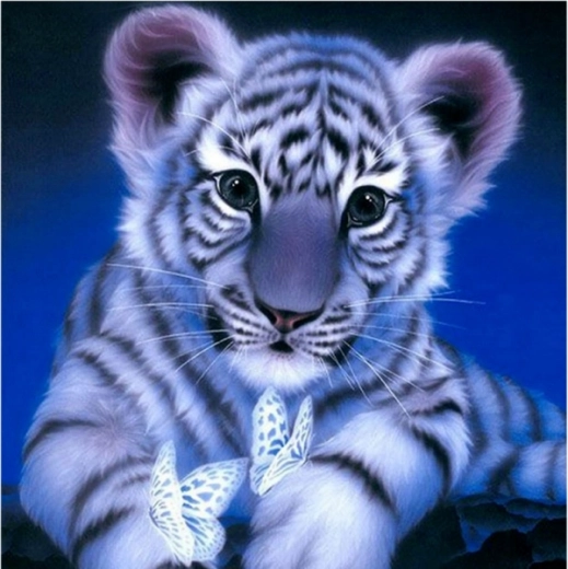 Malowanie diamentowe – śnieżny tygrysek 30 × 30 cm