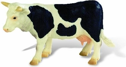 Krowa Fanny czarno-biała