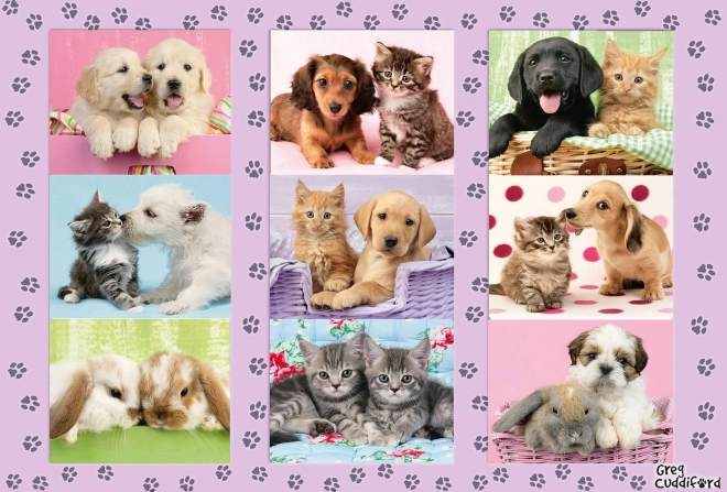 Schmidt puzzle Moji zwierzęcy przyjaciele 100 elementów