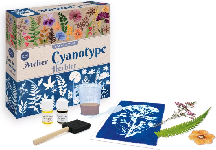 Sentosphere cyjanotypia – pracownia zielnika
