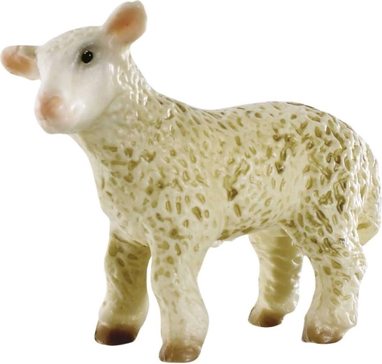 Jehně