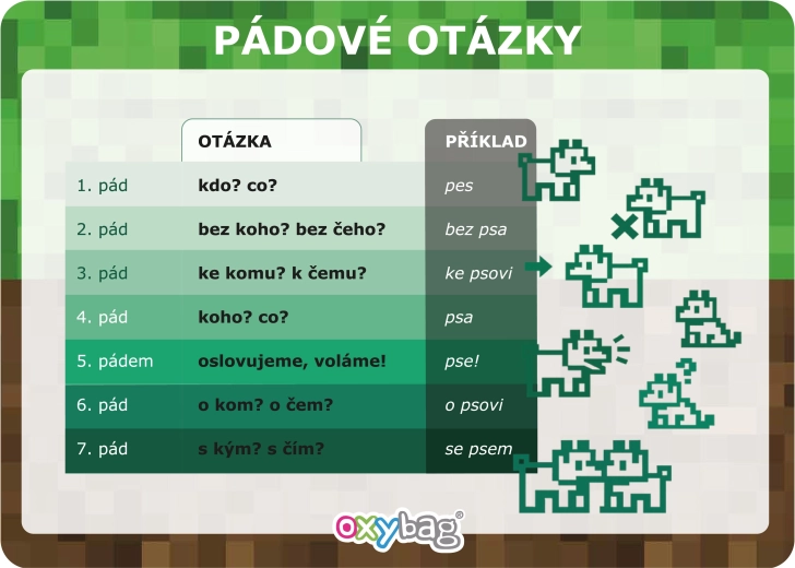 Playworld karta edukacyjna A4 pytania przypadków - 1 sztuka