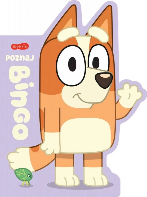 Poznaj broszurę Bingo. Książka kartonowa