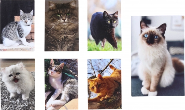 Kotka Mały Notes 40 Kartek