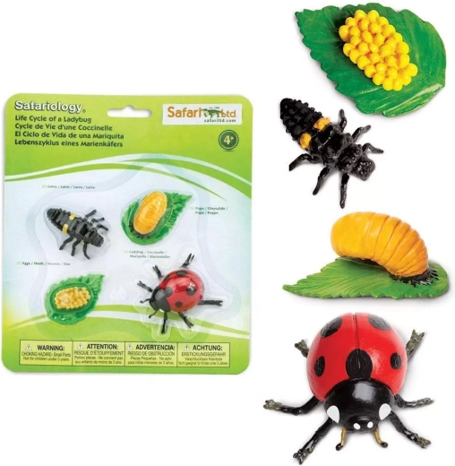 Safari Ltd. cykl życia biedronki – zestaw 4 figurek
