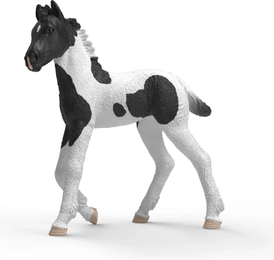 Schleich Horse Club kolekcjonerskie źrebię Rocky – 1 sztuka