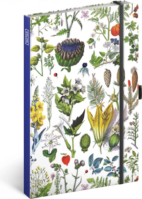 Liniowany notes Zioła Katarzyny Winterovej 13 × 21 cm