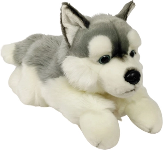 Pluszowy husky 61 cm