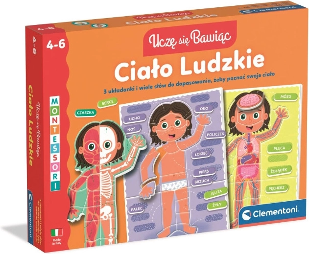 Ludzkie ciało – edukacyjne puzzle dla dzieci 4–6 lat