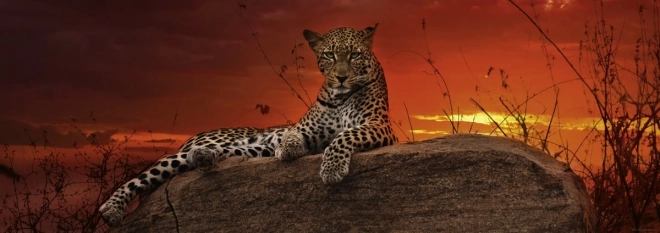 Panoramiczne puzzle Świt w Kenii 2000 elementów