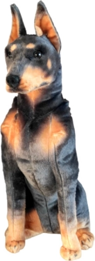 Pluszowy doberman DUBI 65 cm