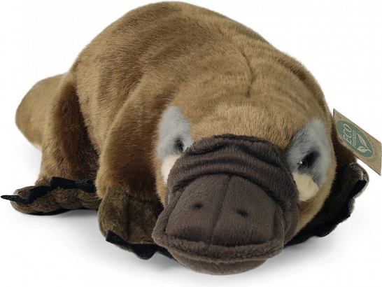 Pluszowy dziobak z recyklingowanych butelek PET