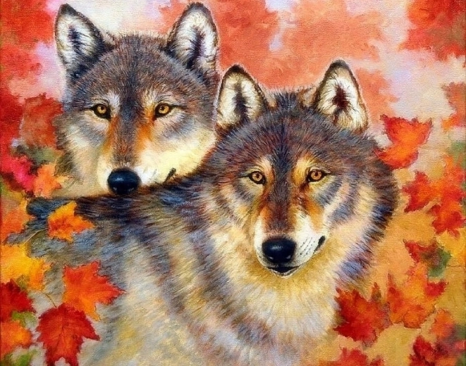 Norimpex malowanie po numerach Wilk i wilczyca 40 × 50 cm