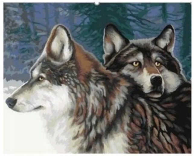 Malowanie po numerach Wilki w lesie 40 × 50 cm