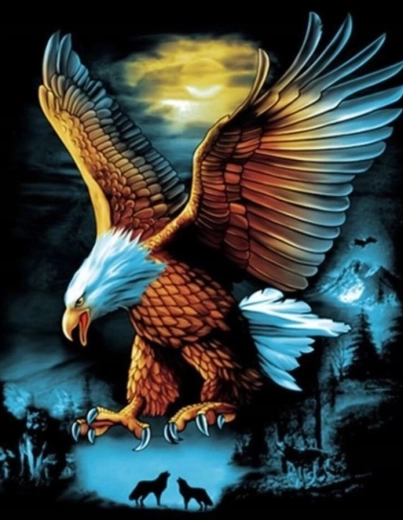 Malowanie diamentowe Orzeł w pełni księżyca 30 × 40 cm