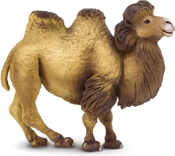 Safari Ltd. figurka wielbłąda dwugarbnego
