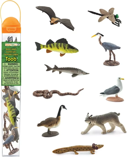 Tuba Duże Jeziora Safari Ltd.