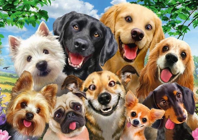 Schmidt puzzle psie selfie 500 elementów