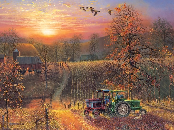 Puzzle COBBLE HILL Przerwa XL 275 elementów