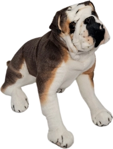 Pluszowy pies buldog - 1 szt.