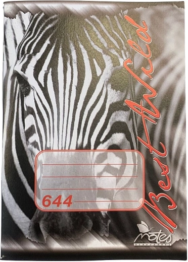 Zeszyt szkolny A6, 40 kartek, w linie, papier bezdrzewny