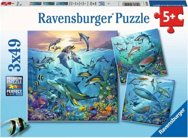 RAVENSBURGER Puzzle Zwierzęta oceanu 3x49 elementów