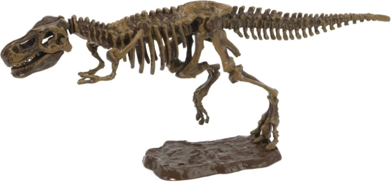 Zestaw archeologiczny 3D tyranozaur
