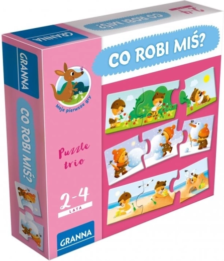 Gra Co robi miś?