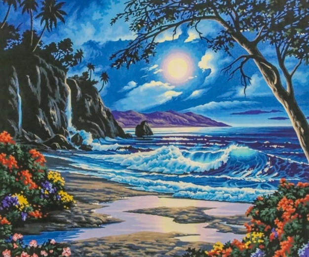 Norimpex Malowanie po numerach Raj nocą 40 × 50 cm