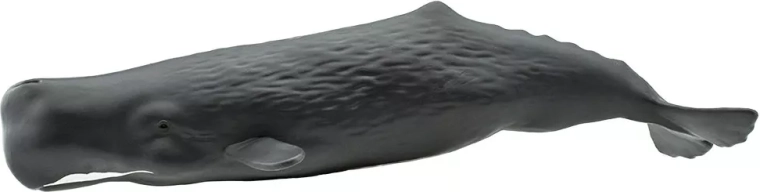 Figurka kaszalota Safari Ltd. – 1 sztuka