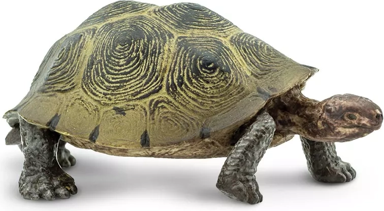 Safari Ltd. figurka żółwia pustynnego
