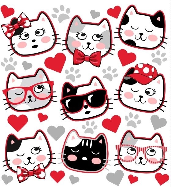 Naszywki termotransferowe z szopami na ubrania