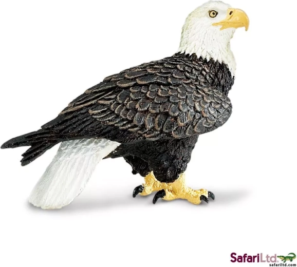 Safari Ltd. orzeł bielik